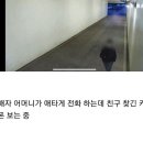 한강 cctv 풀영상을 보니 친구가 유족 전화를 일부러 안받았다는 주장도 파훼되네요 이미지