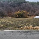 신기리농장 이미지