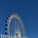 해오름로R | 당일치기 속초여행🌊