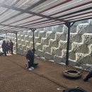 신안태권도체육관 이미지