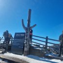 한라산백록담 | 🏔️ 한라산 백록담 등반 후기
