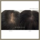 모드라인 이미지