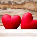 다모아결혼정보 이미지