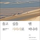 사하라 이미지