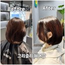 성보빌딩 | 하안동미용실 그리즐리 헤어 커트+클리닉 후기 광명미용실