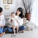 유니미니안양평촌 이미지