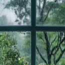 프롬더가든 - 9259 | 프롬더가든