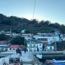 고니민박 이미지