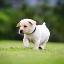 절차탁마 이미지