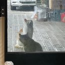 카페 태백로2417 이미지
