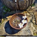 산중식당 이미지