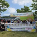 감자푸드