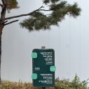 마곡엠밸리1202동 앞 | [일상] 신혼집 구하기 기록(1) - 서울 마곡 엠밸리 9단지 부동산 임장 후기