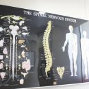 구한의원 이미지