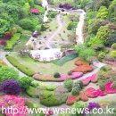 안면도자연휴양림 이미지