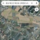 삼보농원 이미지