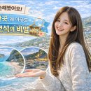 절영 작은도서관 | 부산 가볼만한곳, 왜 아무도 안 알려줬지? 숨겨진 보석의 비밀