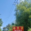 용호강황토