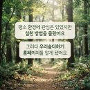 탄소 중립, 지속 가능한 지구 물려주기 | 82,500원으로 탄소 네거티브 달성한 우리 숲 더하기 5톤 구매 후기 한국임업진흥원