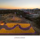 비밀정원12 이미지