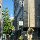 골든햄스터 분양 탬펫 충남아산점 이미지