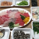 준참치.활어회