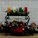 들꽃편지 이미지