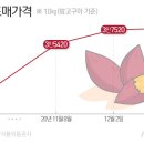 성지편의점 이미지