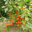 충훈고등학교 이미지