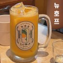 을지로3가 술집 뉴호프 단체 예약 가능 2차 장소 내돈내산 솔직 후기