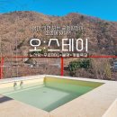 스테이 오년 네이버블로그