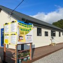 새울림오토캠핑장 이미지