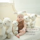 안양 애니스튜디오 - 아기 200일 사진촬영 후기 / 인덕원 아기 사진 잘 찍는 곳