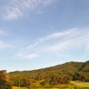 충주 로얄포레CC 노캐디 야간 라운딩 후기 | 페어웨이·그린컨디션