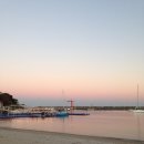 금강호 | [울산/동구] 11/28 일산해수욕장 회센터 금강호 내돈내산 후기🐟