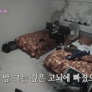 플래닛피플 이미지