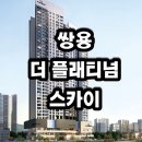 스카이정보 이미지