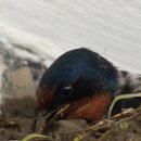 수옥경로당 이미지