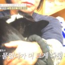 현리동물병원 이미지