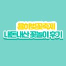 율하 벚꽃축제 내돈내산 후기 / 꽃사진은 없음 / 즐길거리 먹거리 후기