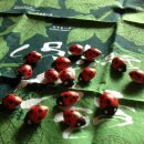 도심초등학교(병설) 이미지