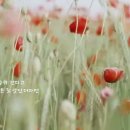 이은옥 이미지