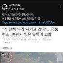 명신이 개 산책 시키는거 찍은 유튜버 고양이 뉴스 고발당함. 이미지