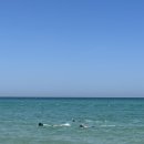 욜로호텔 이미지