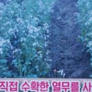 원조남원추어탕 이미지