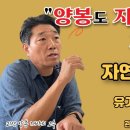 자연주의 양봉 괴산 박성학 이미지