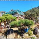 미송펜션 이미지