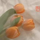 압구정퀸약국 이미지