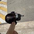 원효유치원 | 스펙의 노예 대학생의 방학(1)