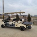 한미카부분정비공장 | 골프카 골프카트 전문 스탠다드글로벌 방문 후기